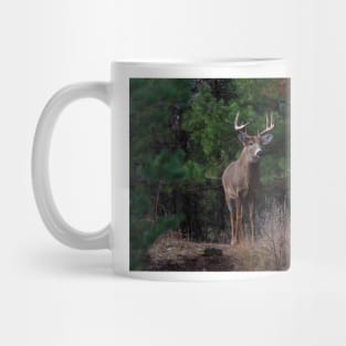 The King is Dead...Long Live the King - White-tailed Deer Mug